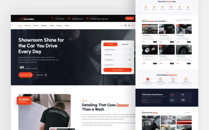 Auto Detailing Astro Theme